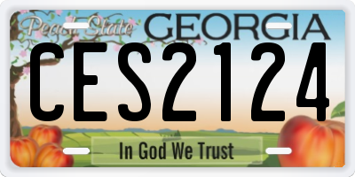 GA license plate CES2124