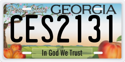GA license plate CES2131
