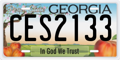 GA license plate CES2133