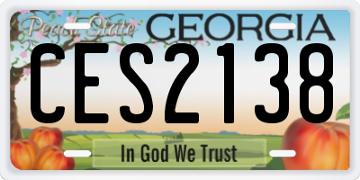 GA license plate CES2138