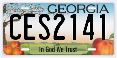 GA license plate CES2141