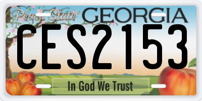 GA license plate CES2153