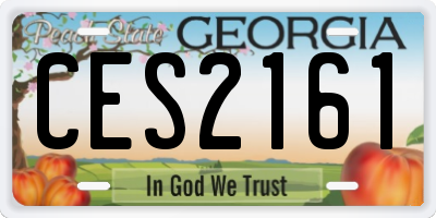 GA license plate CES2161