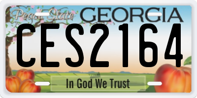 GA license plate CES2164