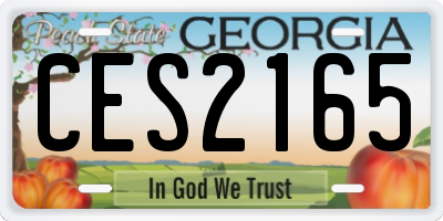 GA license plate CES2165