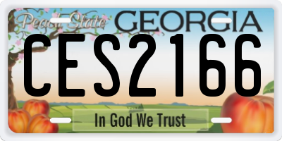 GA license plate CES2166