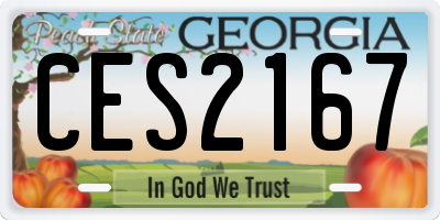 GA license plate CES2167