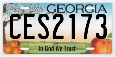 GA license plate CES2173