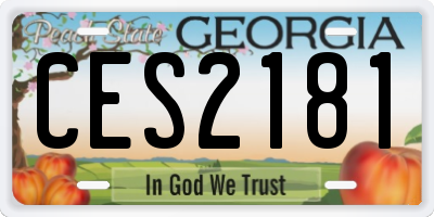 GA license plate CES2181