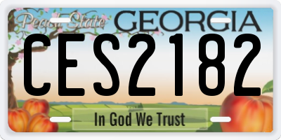 GA license plate CES2182