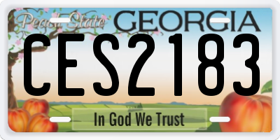 GA license plate CES2183