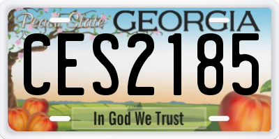 GA license plate CES2185