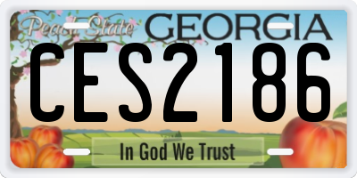 GA license plate CES2186
