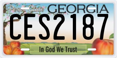 GA license plate CES2187