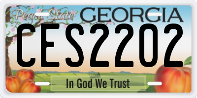 GA license plate CES2202