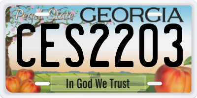 GA license plate CES2203
