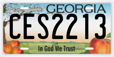 GA license plate CES2213