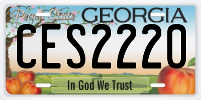 GA license plate CES2220