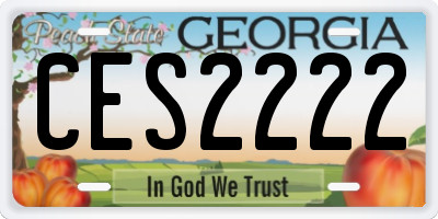 GA license plate CES2222