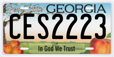 GA license plate CES2223