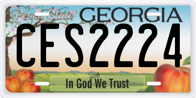 GA license plate CES2224