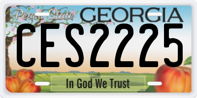GA license plate CES2225