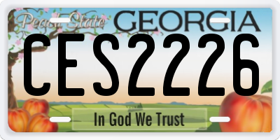 GA license plate CES2226