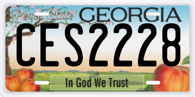 GA license plate CES2228