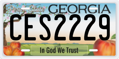 GA license plate CES2229