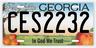 GA license plate CES2232
