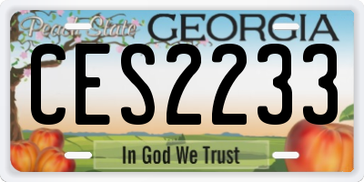 GA license plate CES2233