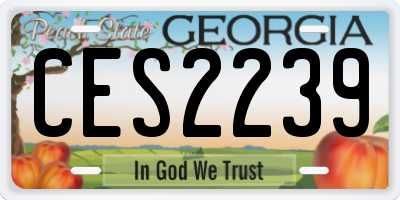 GA license plate CES2239