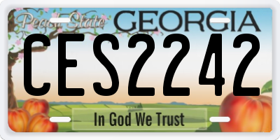 GA license plate CES2242
