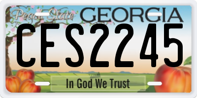 GA license plate CES2245