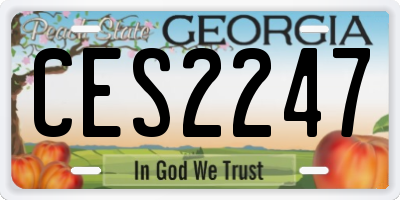 GA license plate CES2247