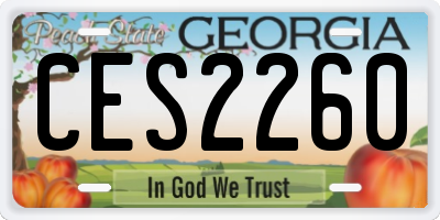GA license plate CES2260