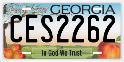 GA license plate CES2262