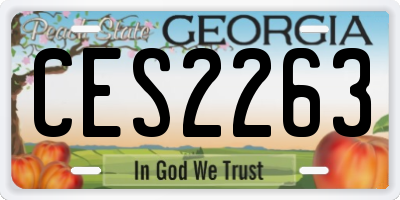 GA license plate CES2263