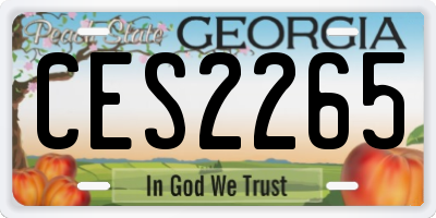 GA license plate CES2265