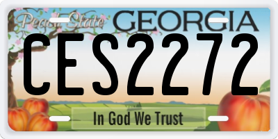 GA license plate CES2272