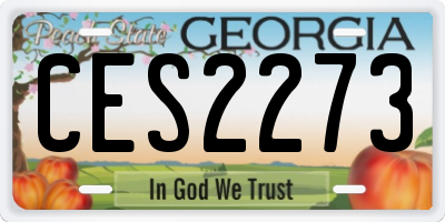 GA license plate CES2273