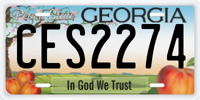 GA license plate CES2274