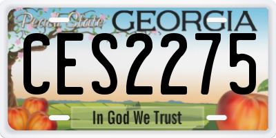 GA license plate CES2275