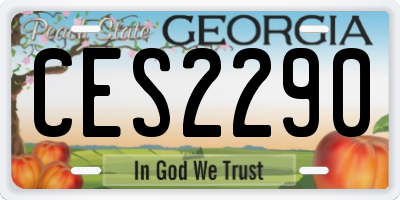 GA license plate CES2290