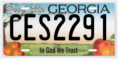 GA license plate CES2291