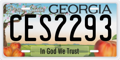 GA license plate CES2293