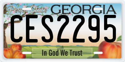 GA license plate CES2295