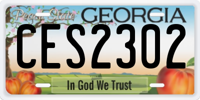 GA license plate CES2302
