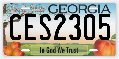 GA license plate CES2305