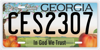 GA license plate CES2307